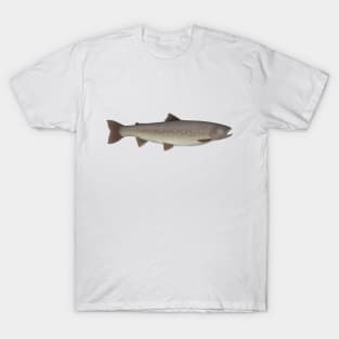 Whitespotted Char T-Shirt